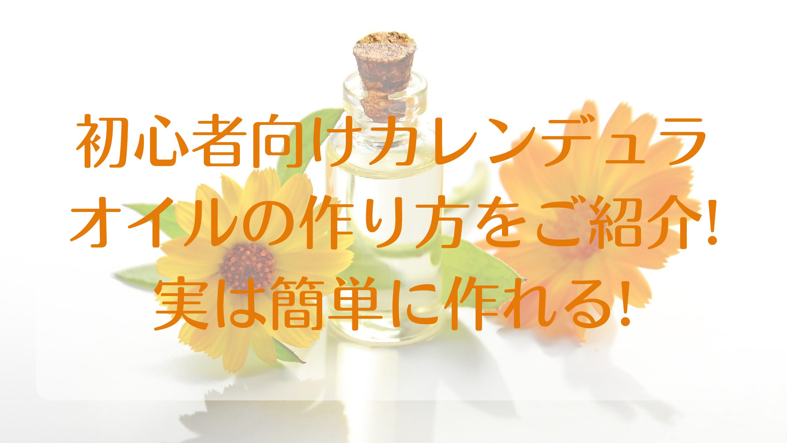 初心者向けカレンデュラオイルの作り方をご紹介 実は簡単に作れる きらくなハーブ日記